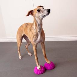Flexiness Toy Paw Stackers Balanskuddar Rosa 4 st.
